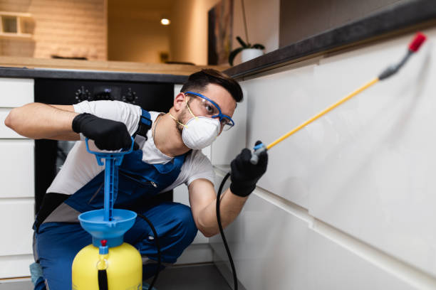 Best Exterminator Services  in Helena West Side, MT