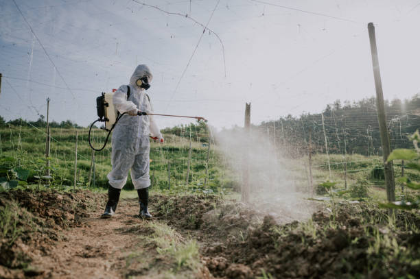 Pest Prevention Services in Helena West Side, MT