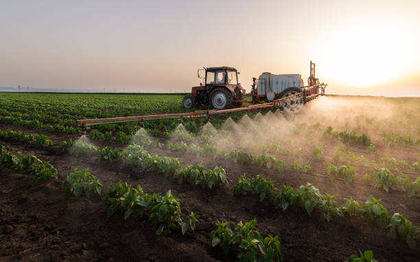 Best Best Pest Control Companies  in Helena West Side, MT