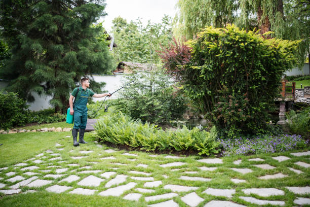 Best Ant Control Services  in Helena West Side, MT