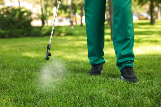 Best Affordable Pest Control Services  in Helena West Side, MT