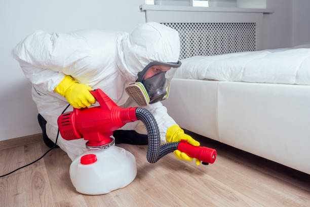 Best Affordable Pest Control Services  in Helena West Side, MT