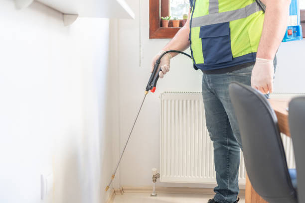 Wasp Removal Services in Helena West Side, MT
