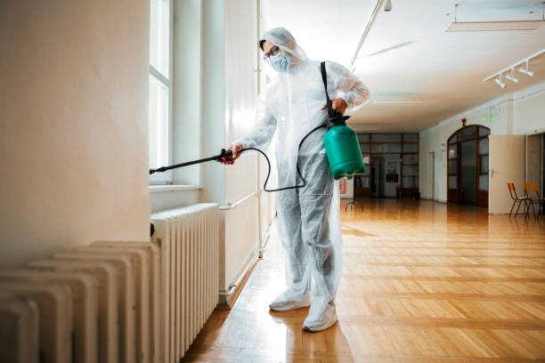 Best Pest Removal Services  in Helena West Side, MT