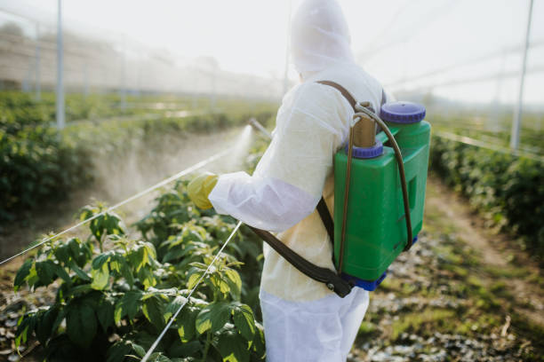 Best Mosquito Control Services  in Helena West Side, MT